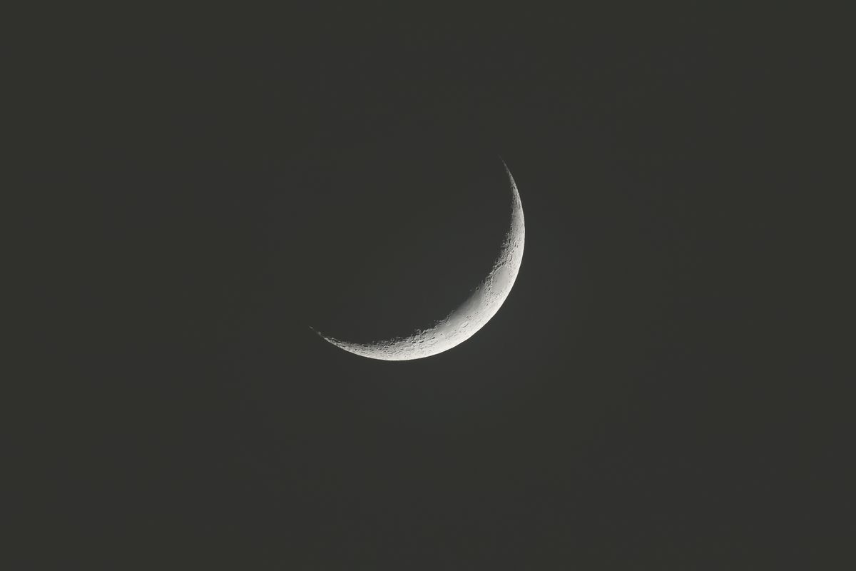 A thin new crescent moon in a dark night sky